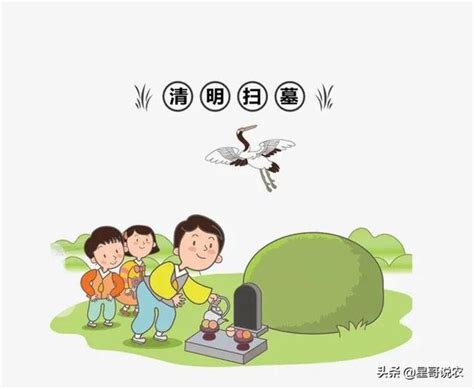 2024 掃墓吉日|【2024 清明掃墓吉日】農民曆告訴你，適合掃墓的好。